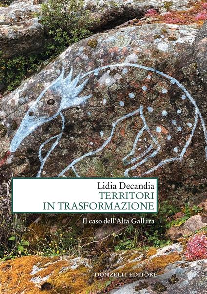 Territori in trasformazione. Il caso dell'Alta Gallura - Lidia Decandia - copertina