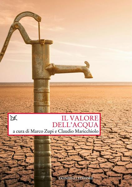 Il valore dell'acqua - Claudio Maricchiolo,Marco Zupi - ebook