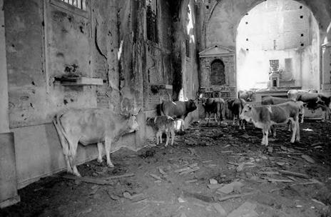 Il senso dei luoghi. Memoria e storia dei paesi abbandonati. Nuova ediz. - Vito Teti - 2