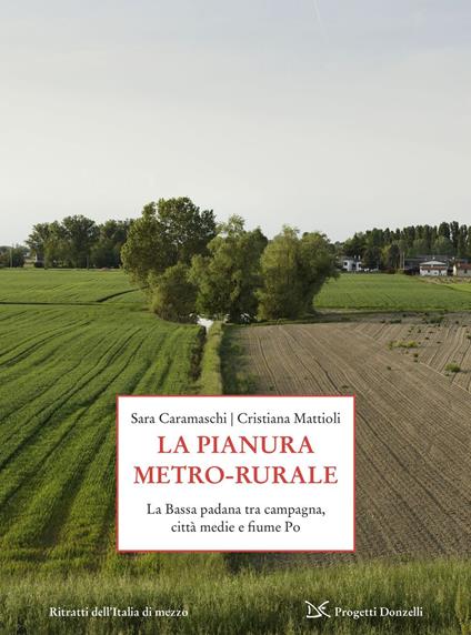 La pianura metro-rurale. La Bassa padana tra campagna, città medie e fiume Po - Sara Caramaschi,Cristiana Mattioli - ebook