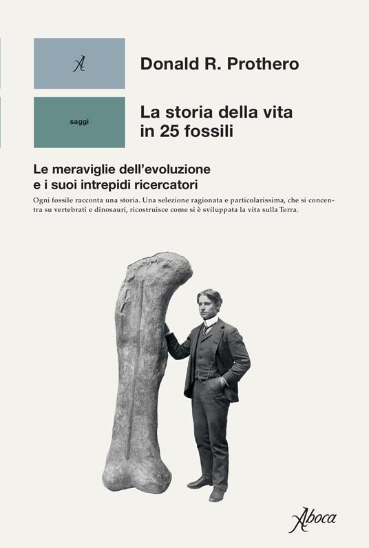 La storia della vita in 25 fossili. Le meraviglie dell'evoluzione e i suoi intrepidi ricercatori - Donald R. Prothero - copertina