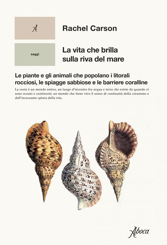 La vita che brilla sulla riva del mare. Le piante e gli animali che popolano i litorali rocciosi, le spiagge sabbiose e le barriere coralline - Rachel Carson,Bob Hines,Isabella C. Blum - ebook