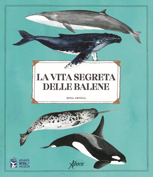 La vita segreta delle balene - Rena Ortega - copertina