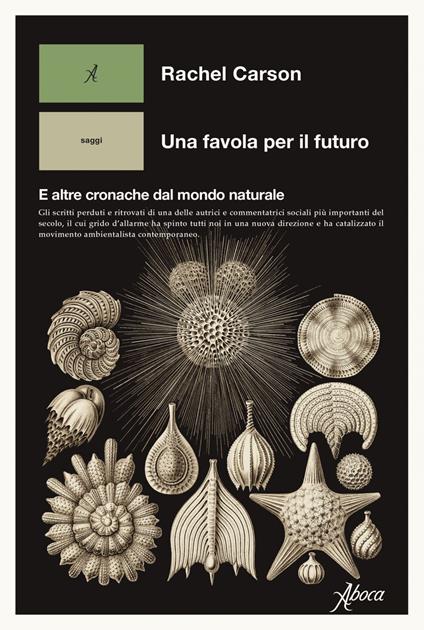 Una favola per il futuro. E altre cronache dal mondo naturale - Rachel Carson - ebook