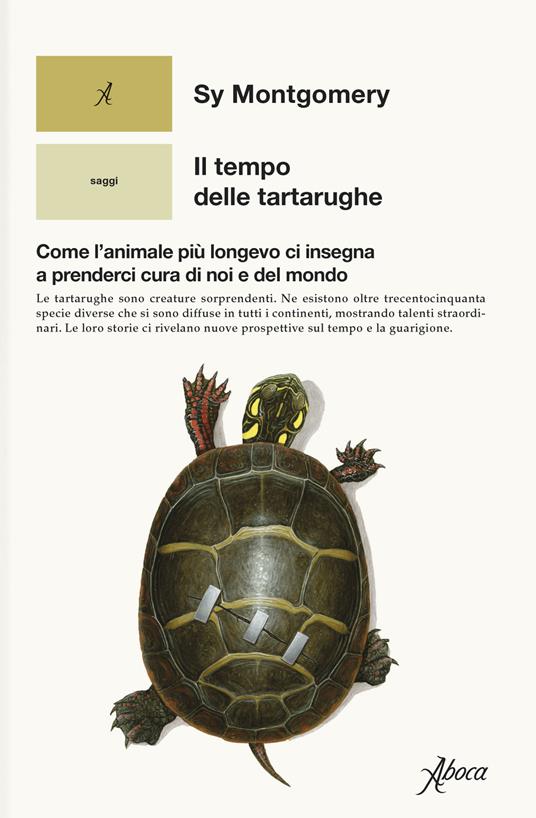 Il tempo delle tartarughe. Come l’animale più longevo ci insegna a prenderci cura di noi e del mondo - Sy Montgomery - copertina