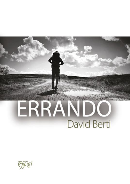 Errando - David Berti - copertina
