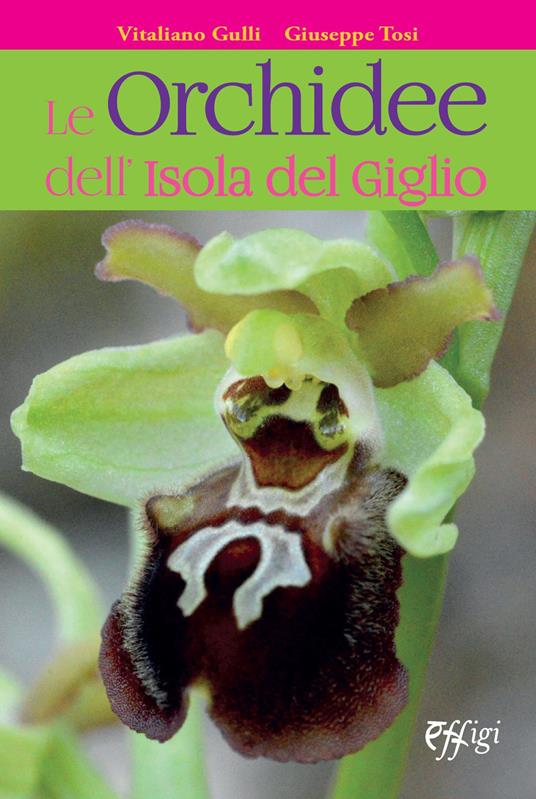 Le orchidee dell'Isola del Giglio - Vitaliano Gulli,Giuseppe Tosi - copertina