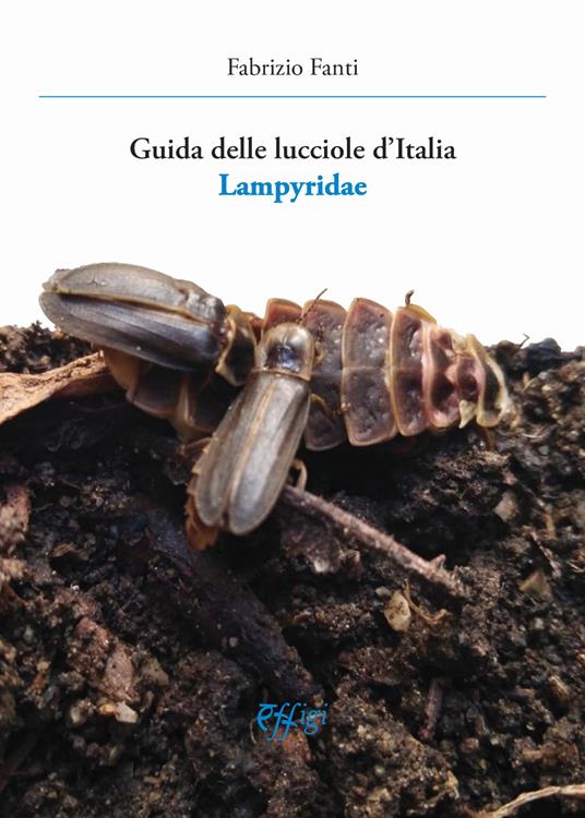 Guida delle lucciole d'Italia lampyridae - Fabrizio Fanti - copertina
