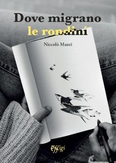 Dove migrano le rondini - Niccolò Mauri - copertina