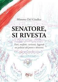 Senatore, si rivesta. Fatti, misfatti, curiosità, leggende nei palazzi del potere e dintorni - Mimmo Del Giudice - copertina