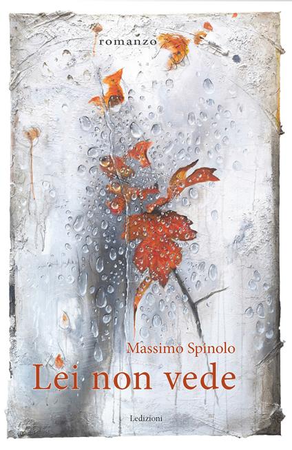 Lei non vede - Massimo Spinolo - ebook