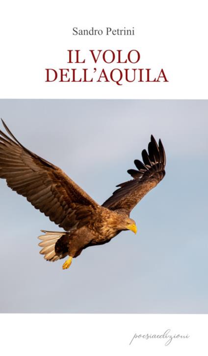Il volo dell'aquila - Sandro Petrini - copertina