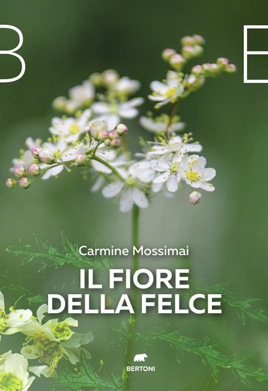 Il fiore della felce - Carmine Mossimai - copertina