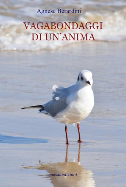 Vagabondaggi di un’anima - Agnese Berardini - copertina