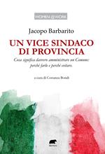 Un vice sindaco di provincia. Cosa significa davvero amministrare un Comune: perché farlo e perché evitare