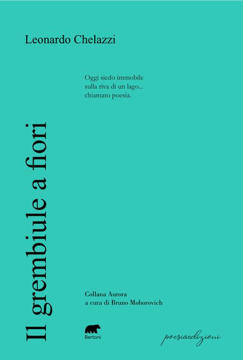 Il grembiule a fiori - Leonardo Chelazzi - copertina