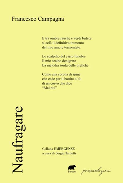 Naufragare - Francesco Campagna - copertina
