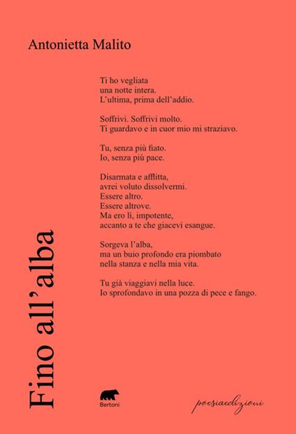 Fino all'alba - Antonietta Malito - copertina