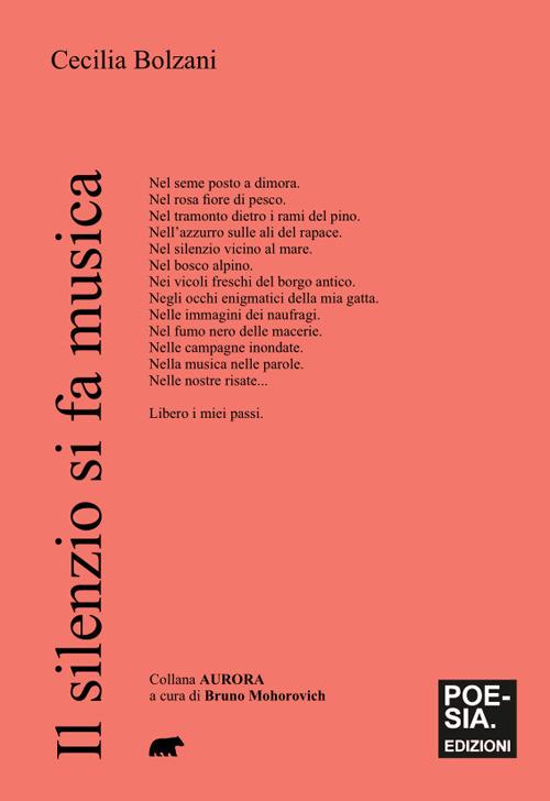 Il silenzio si fa musica - Cecilia Bolzani - copertina