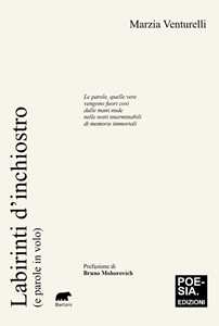 Labirinti d'inchiostro (e parole in volo)