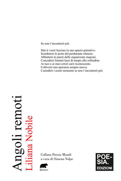 Angoli remoti - Liliana Nobile - copertina