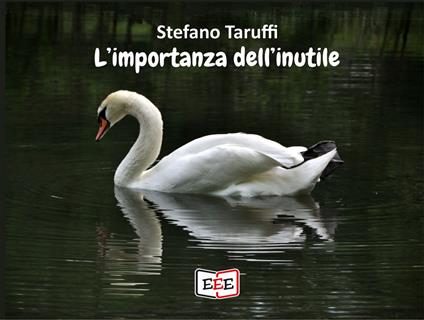 L'importanza dell'inutile - Stefano Taruffi - copertina