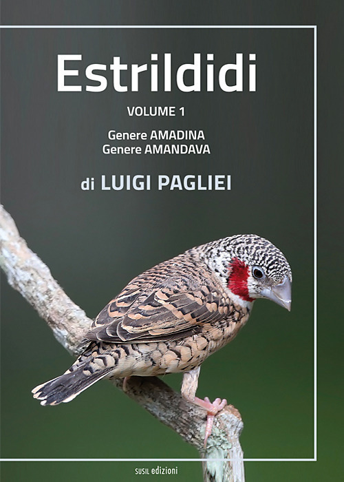 Fozzi Libri