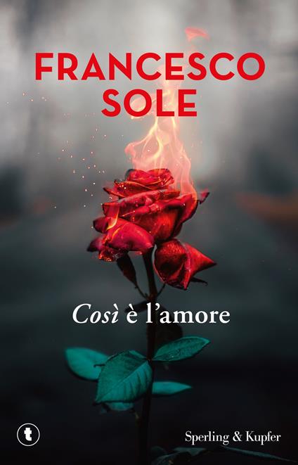 Così è l'amore - Francesco Sole - copertina