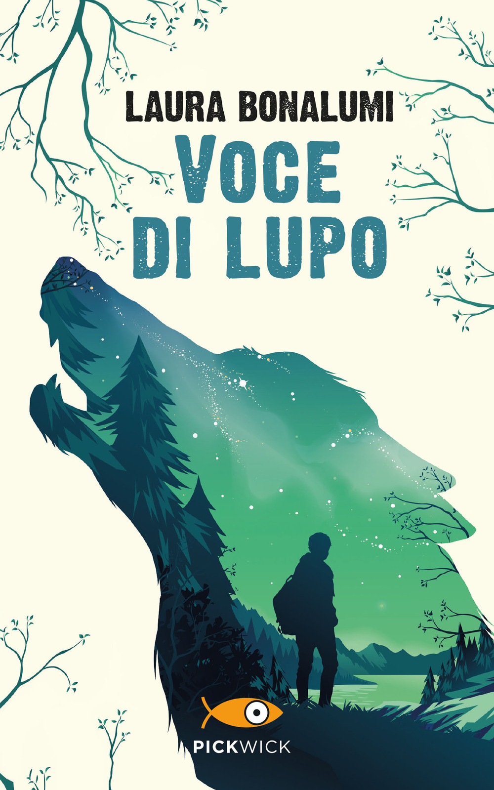 Libraccio