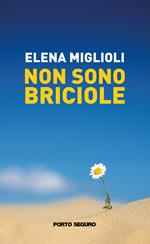 Non sono briciole