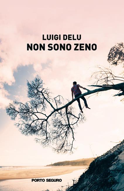 Non sono Zeno - Luigi Delu - copertina