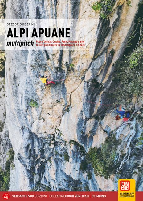 Alpi Apuane. Multipitch Pizzo d'Uccello, Corchia, Panie, Procinto e tutte le altre grandi pareti tra la Garfagnana e il mare. Ediz. illustrata - Gregorio Pedrini - copertina