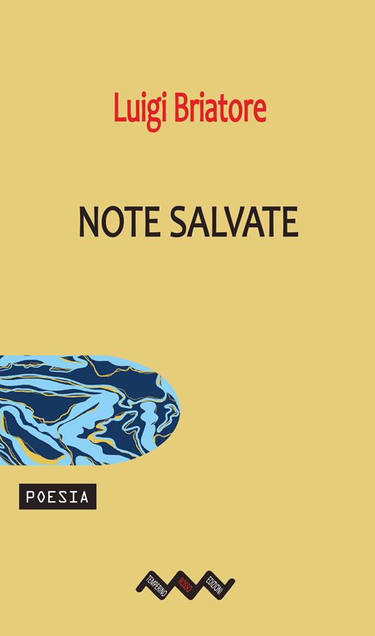 Note salvate - Luigi Briatore - copertina