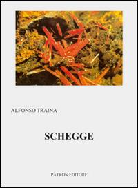 Schegge - Alfonso Traina - copertina