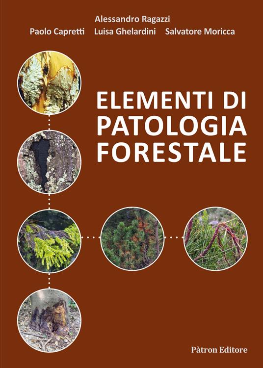 Elementi di patologia forestale - Alessandro Ragazzi,Paolo Capretti,Luisa Ghelardini - copertina