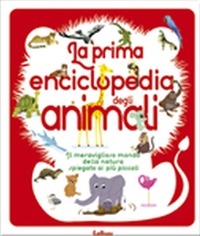 Libraccio