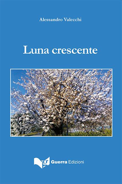 Luna crescente - Alessandro Valecchi - copertina
