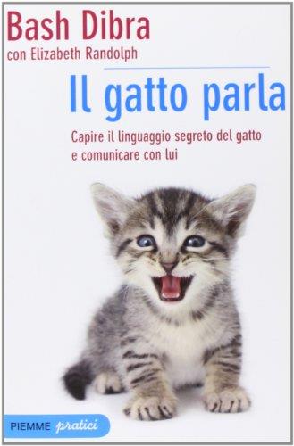 Librisaggi