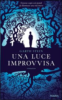 Una luce improvvisa - Garth Stein - copertina