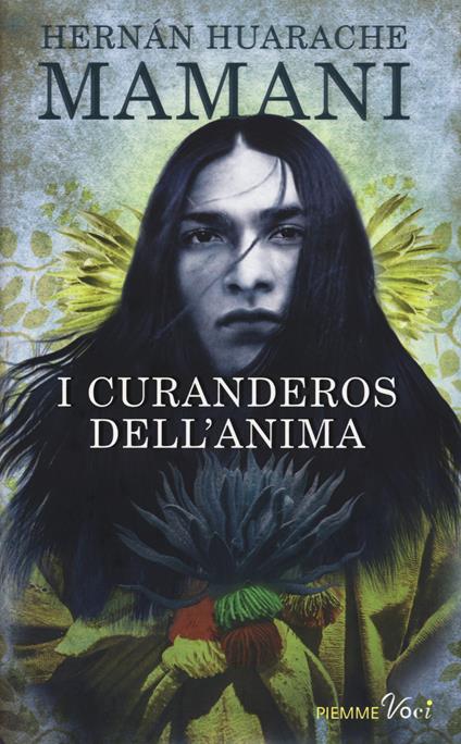 I curanderos dell'anima - Hernán Huarache Mamani - copertina