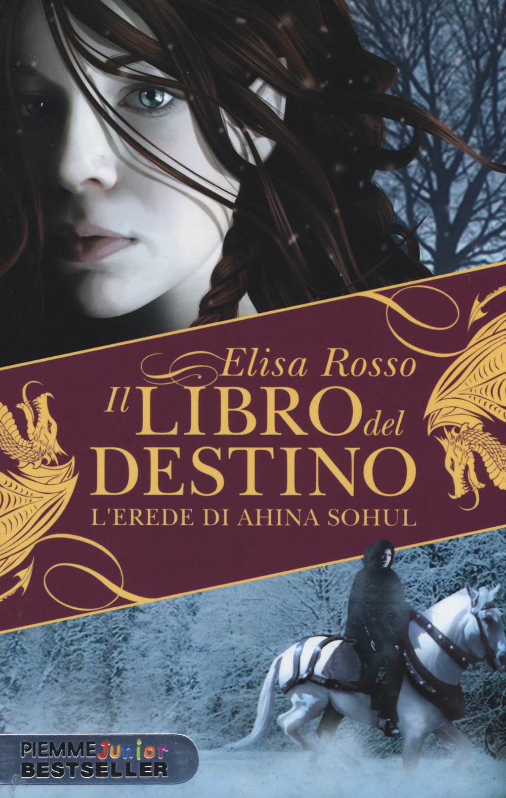Libraccio