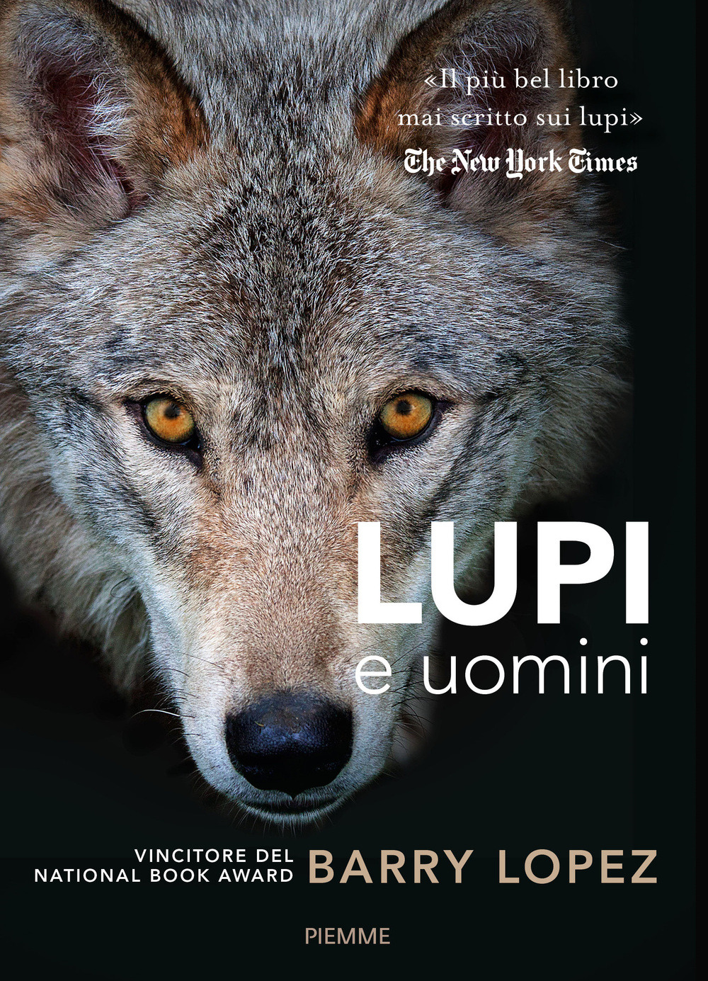 Libraccio