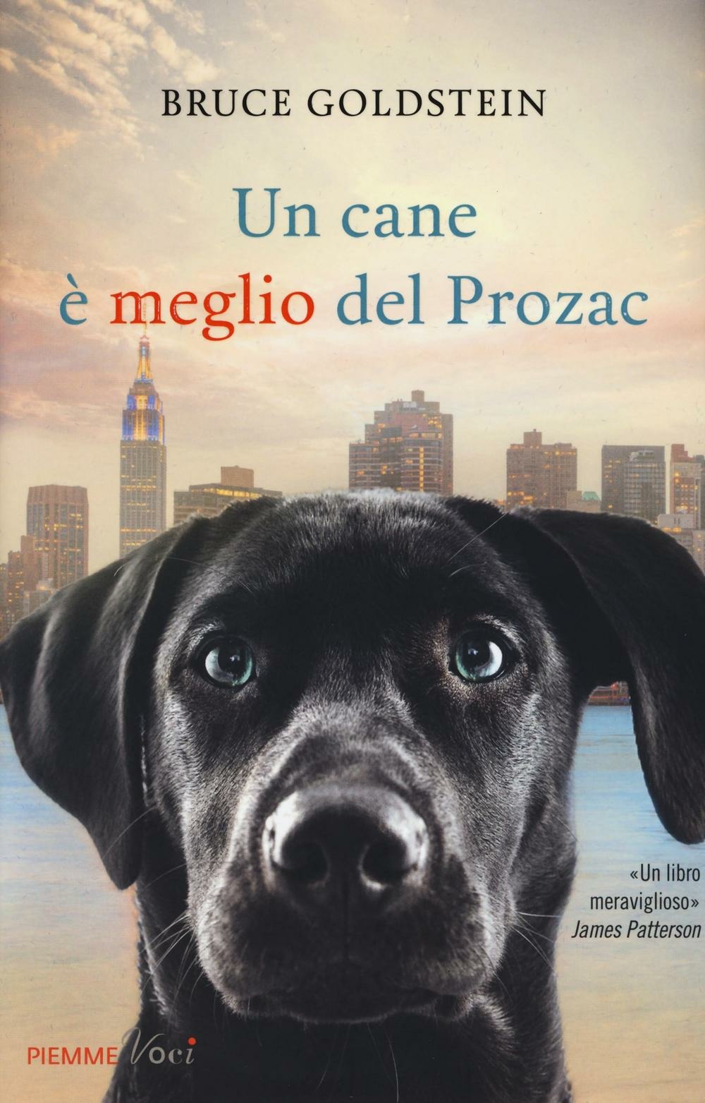 Libraccio