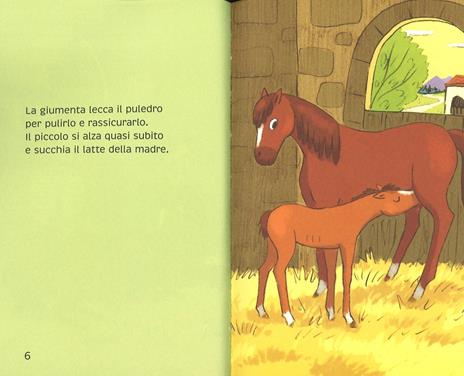 Il club dei pony. Ediz. a colori - Magdalena - 2