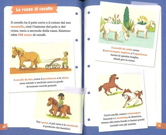 Il club dei pony. Ediz. a colori - Magdalena - 4