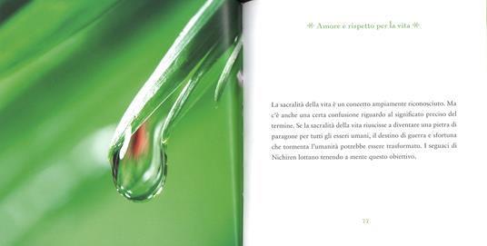 Budda felice. Un percorso per praticare la serenità. Ediz. a colori - Daisaku Ikeda - 4