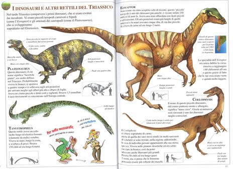 Dinosauri. Ediz. a colori - Geronimo Stilton - 3
