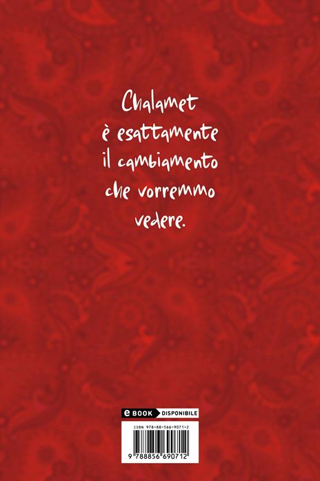 Timothée Chalamet. L'enfant prodige del cinema internazionale - 2