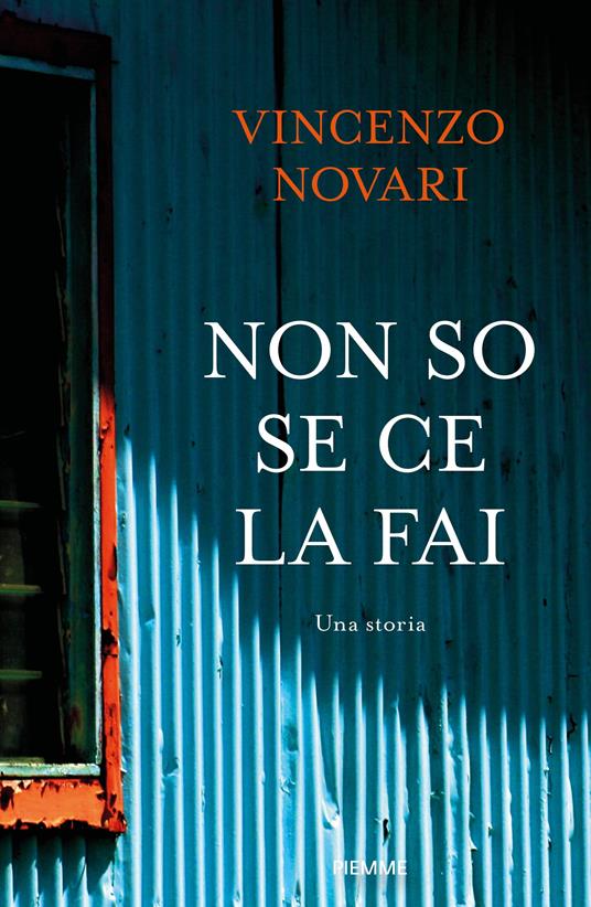 Non so se ce la fai. Una storia - Vincenzo Novari - copertina