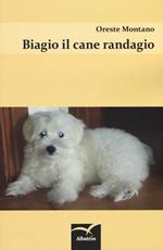 Biagio il cane randagio